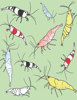 Paperback Aquarium Shrimp Pattern Composition Book: 200 Page, 100 Sheet 7.44" X 9.69" Wide Ruled Composition Notebook Journal Book