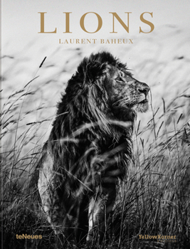 Hardcover Lions Book