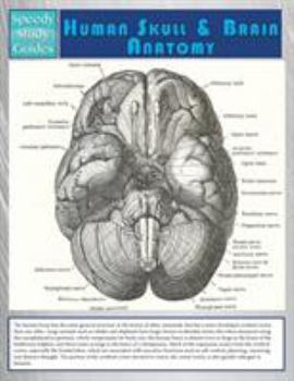Paperback Human Skull And Brain Anatomy (Speedy Study Guide) Book