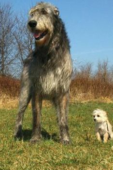 Best Friends: Notebook