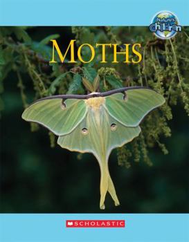 Hardcover Moths Book