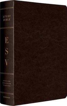 Paperback Study Bible-ESV Book