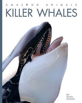 Killer Whales - Book  of the Amazing Animals