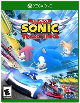 Video Game Team Sonic Racing Book