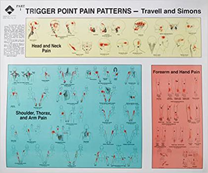 Paperback Travell and Simons' Trigger Point Pain Patterns Wall Charts Book