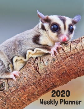 Paperback 2020 Weekly Planner: Sugar Glider 52 Week Journal 8.5 x 11 inches for Women, Academic Organizer Monthly Calendar Scheduler Appointment Agen Book