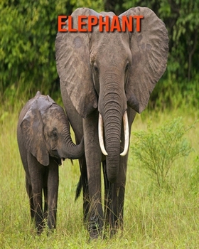 Elephant: Amazing Facts about Elephant