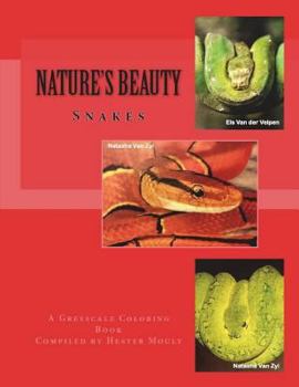 Paperback Nature's Beauty: Snakes Book