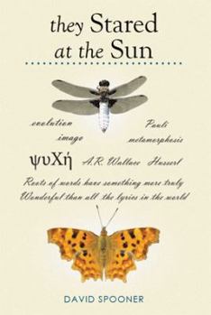 They Stared at the Sun