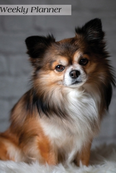 Weekly Planner: Chihuahua Daily Planner 52 weeks Schedule Organizer Agenda 6x9