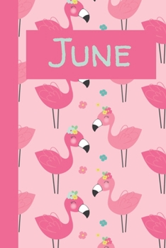 June: Monthly Journal / Lined Notebook A Month / Pink Flamingos Pattern Background