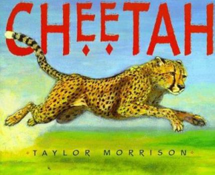 Hardcover Cheetah Book