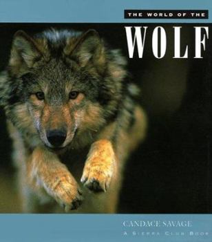 Hardcover World of the Wolf Book