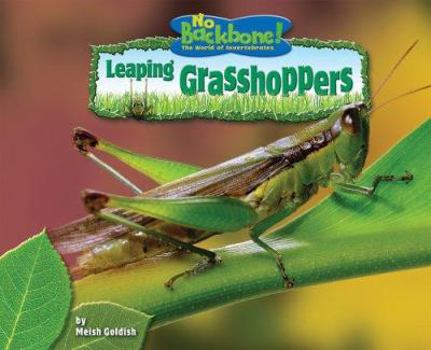 Leaping Grasshoppers - Book  of the No Backbone! Insects