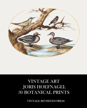 Paperback Vintage Art: Joris Hoefnagel 30 Botanical Prints Book