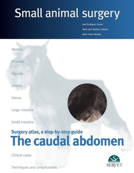 Hardcover The Caudal Abdomen. Small Animal Surgery Book