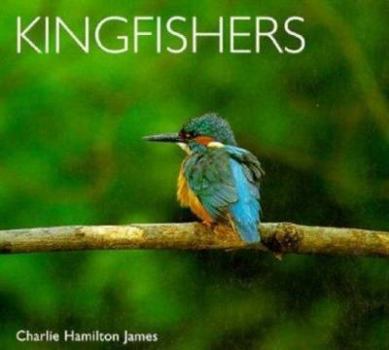 Paperback Kingfishers Book