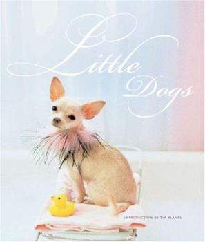 Hardcover Little Dogs Book