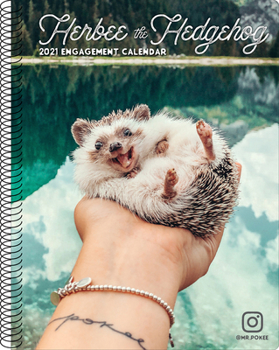 Calendar Herbee the Hedgehog 2021 Engagement Calendar Book
