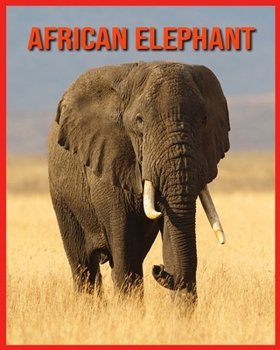 African Elephant: Amazing Facts about African Elephant