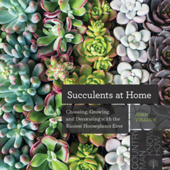 Paperback Succulents at Home: Choosing, Growing, and Decorating with the Easiest Houseplants Ever Book
