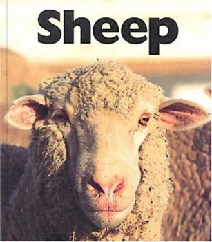 Library Binding Sheep Book