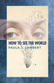 Paperback How to See the World: Poems Book