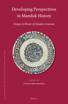 Hardcover Developing Perspectives in Mamluk History: Essays in Honor of Amalia Levanoni Book