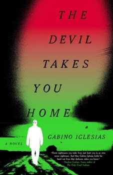 Hardcover The Devil Takes You Home Book