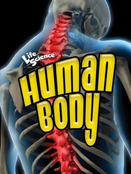 Paperback Human Body Book