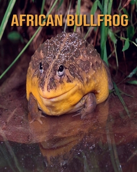 Paperback African Bullfrog: Children's Books --- Super Fun Facts And Amazing Pictures Book