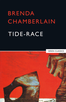 Paperback Tide Race Book