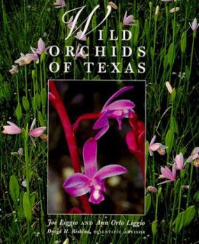 Wild Orchids of Texas - Book  of the Corrie Herring Hooks Series