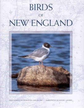 Hardcover Birds of New England Book