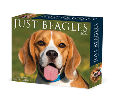 Calendar Beagles 2022 Box Calendar - Dog Breed Daily Desktop Book