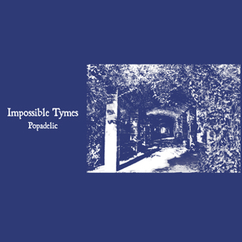 Vinyl Impossible Tymes   Popadelic Book