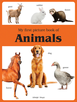 Paperback My First Book Of Animals Book