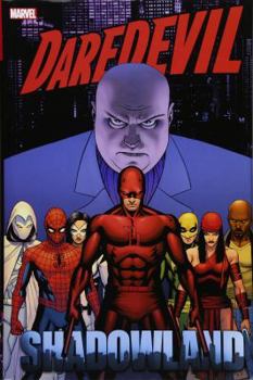 Hardcover Daredevil: Shadowland Omnibus Book