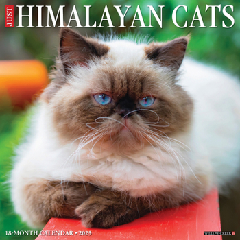 Calendar Just Himalayan Cats 2025 12 X 12 Wall Calendar Book