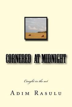 Paperback cornered at midnight Book