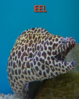 Paperback Eel: Eel: Beautiful Pictures & Interesting Facts Children Book About Eel Book