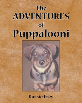 Paperback The Adventures of Puppalooni Book