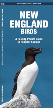 Paperback New England Birds: A Folding Pocket Guide to Familiar Species Book