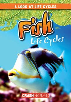 Paperback Fish Life Cycles Book