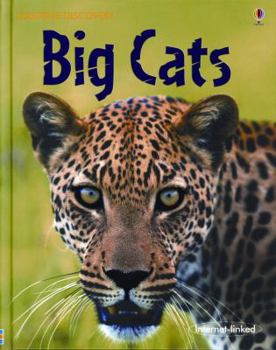 Big Cats (Usborne Discovery Internet-Linked) - Book  of the Usborne Discovery