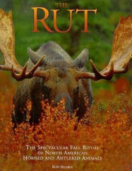 Hardcover Rut: Spectacular Fall Ritual of North American Horned and Antlered Animals Book