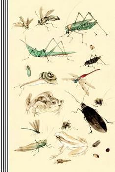 Insects Illustrations Journal Entomology Biology: Bugs Asian Japanese Drawing 19th Century Vintage Art Journal Artsy Gift Composition Notebook, Lined Paper, 150 Pages, 6"x9" (15.24 X 22.86 CM)