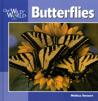 Hardcover Butterflies Book