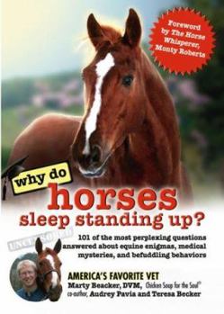 Paperback Why Do Horses Sleep Standing Up?: 101 of the Most Perplexing Questions Answered about Equine Enigmas, Medical Mysteries, and Befuddling Behaviors Book