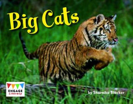 Paperback Big Cats Book